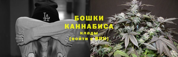 шишки Алзамай