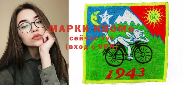 шишки Алзамай