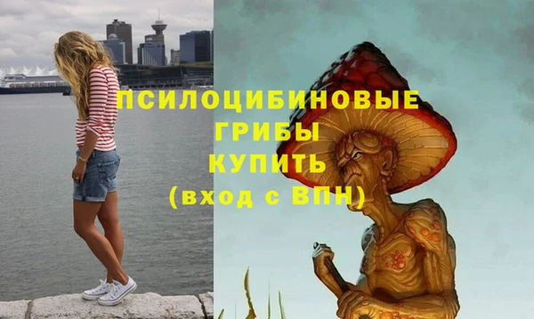 круглые Алексин